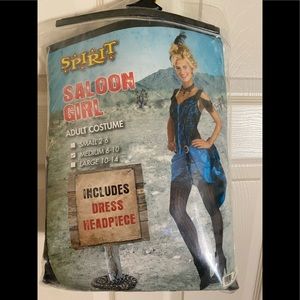 Saloon Girl Adult Costume.